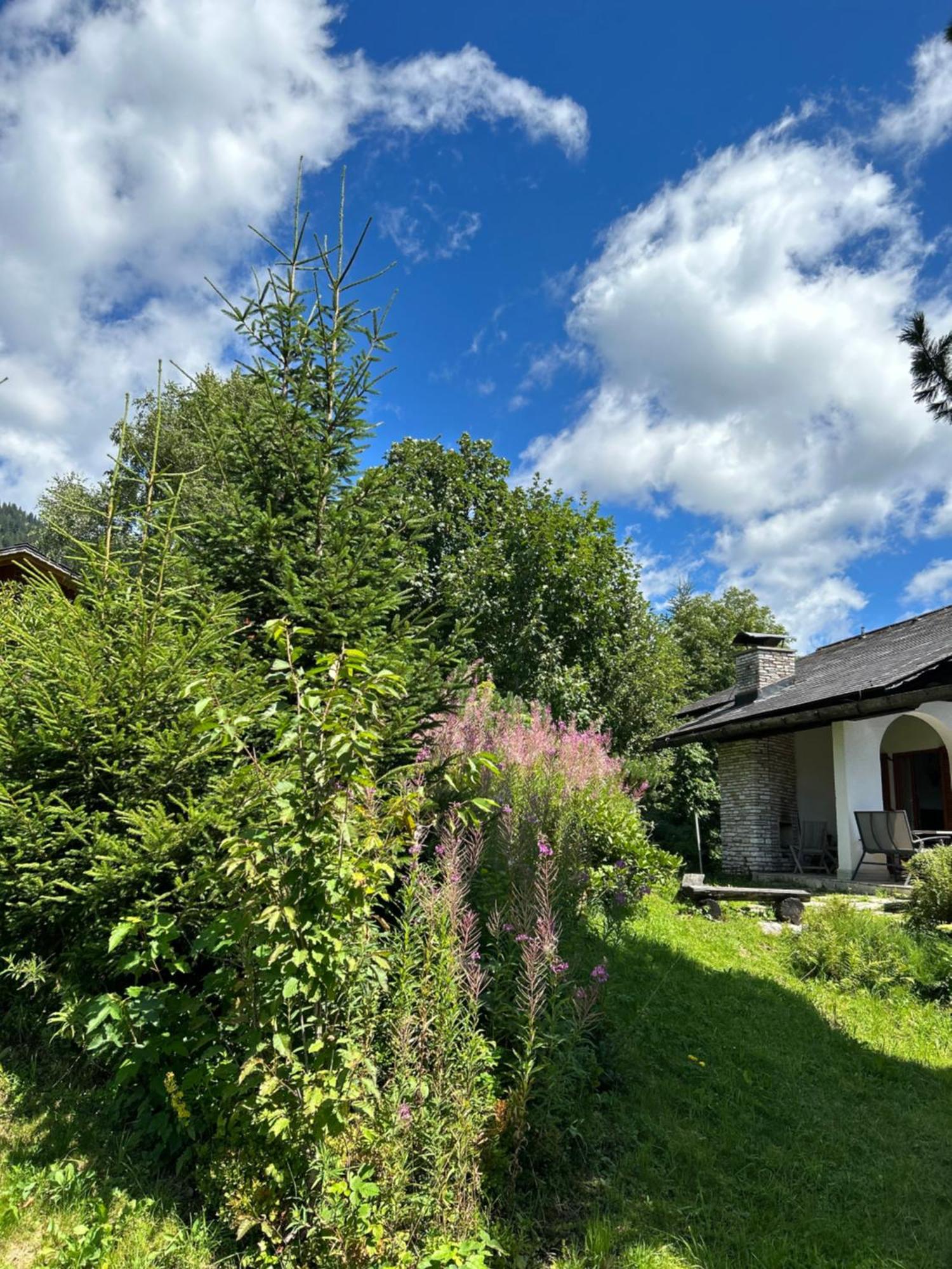 Willa Haus Grimmingblick Zlem Zewnętrze zdjęcie